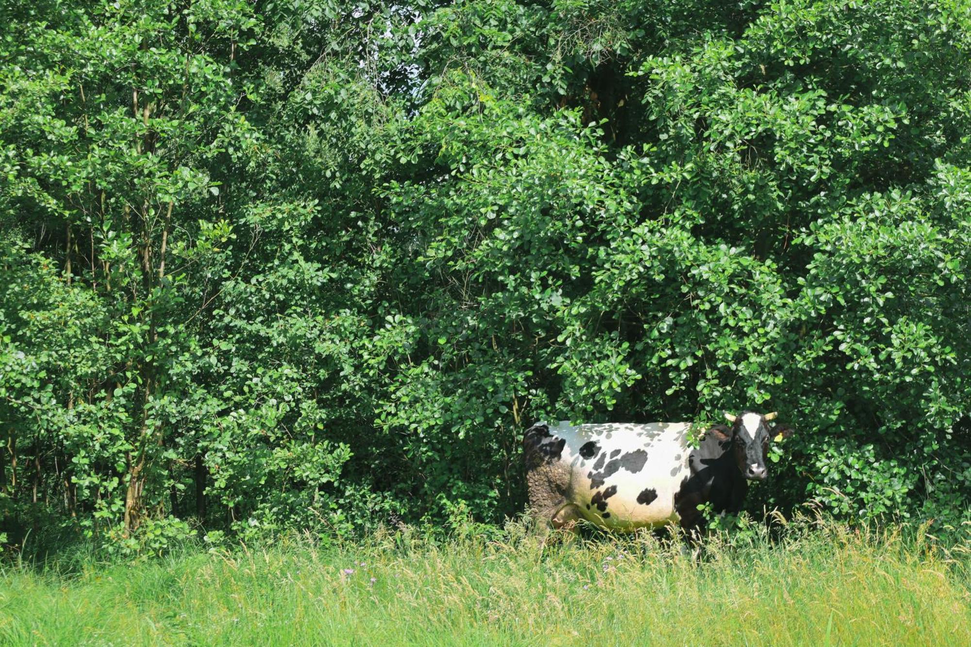 Oaza Swiety Spokoj - Domek Z Balia I Jacuzzi Rzasnik Buitenkant foto